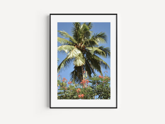 Island Palm & Flowers