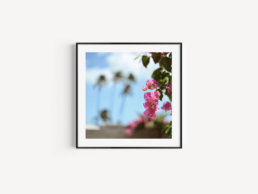 Vintage Tropical Flowers