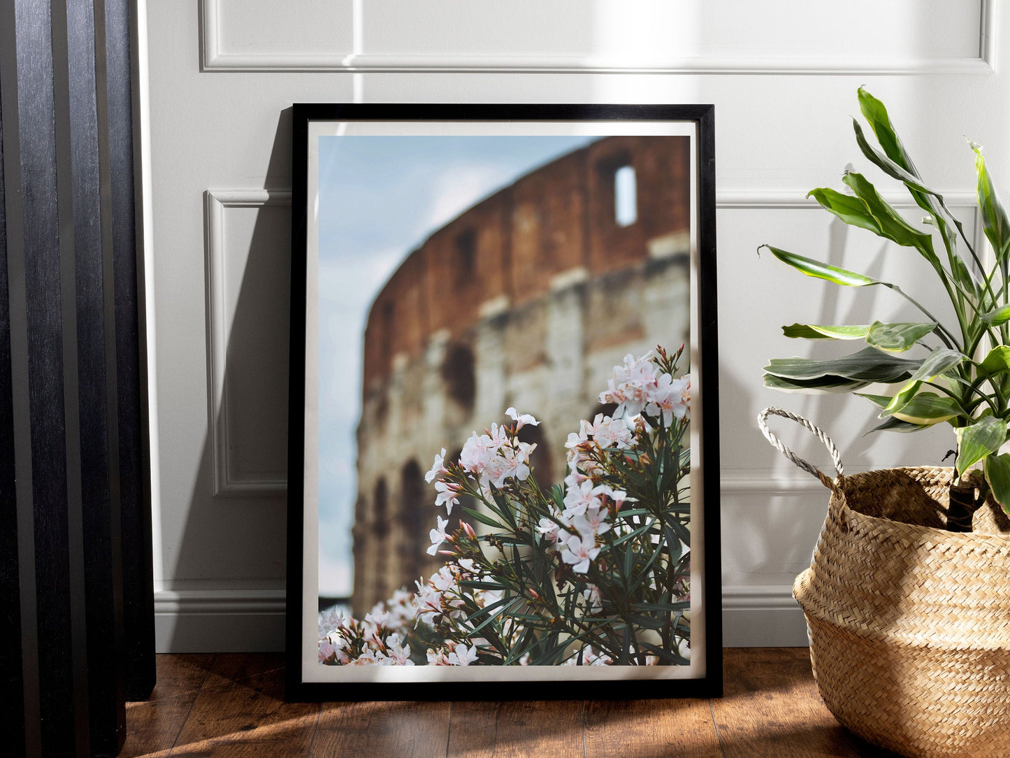 The Colosseum Rome Flowers