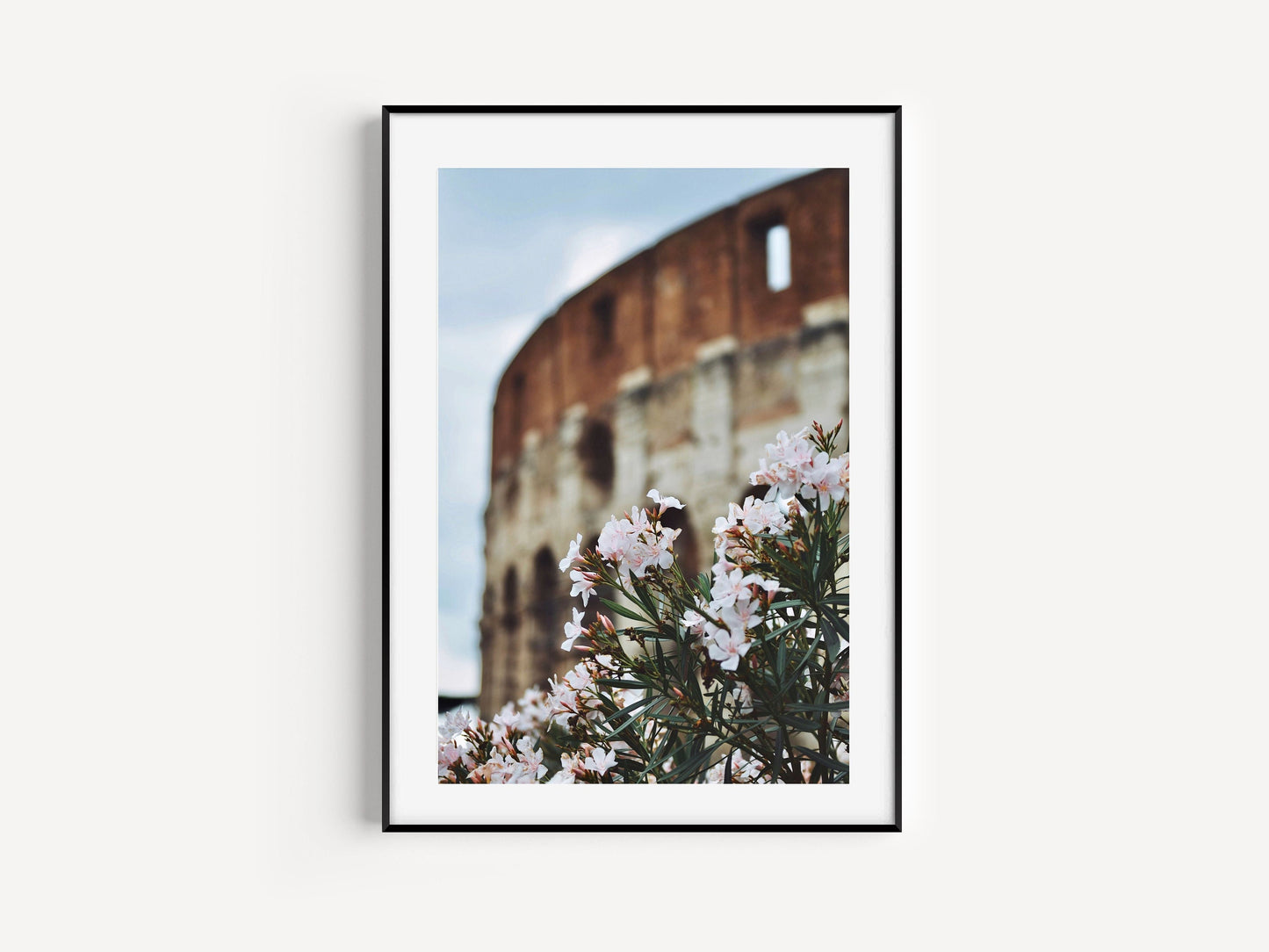 The Colosseum Rome Flowers