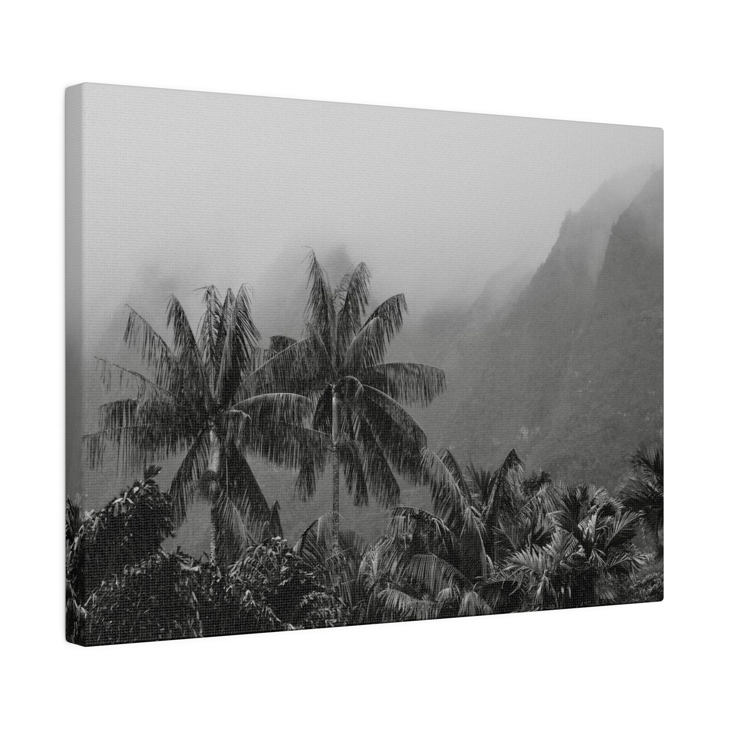 Tropical Vintage Palms Canvas Print