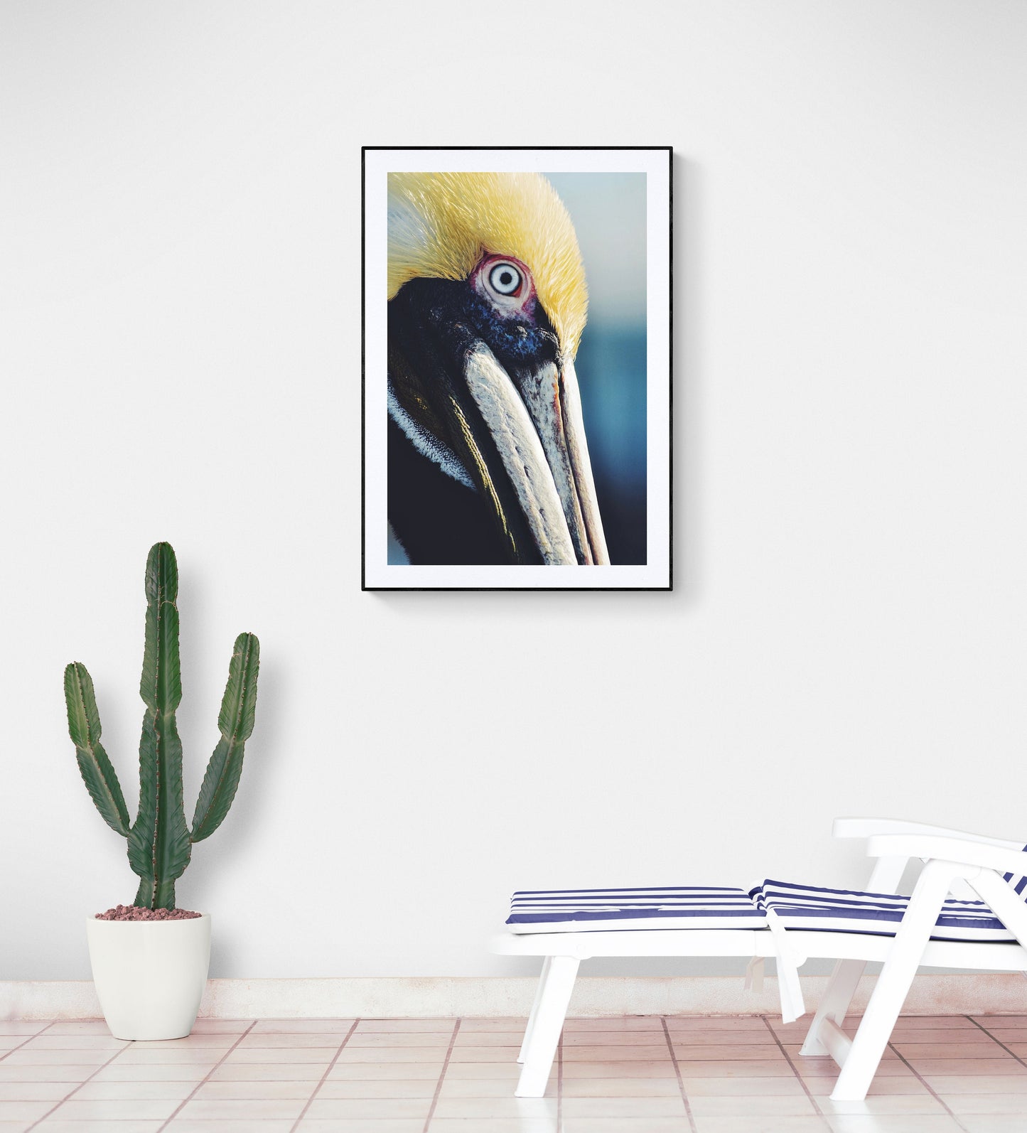 Pelican Portrait