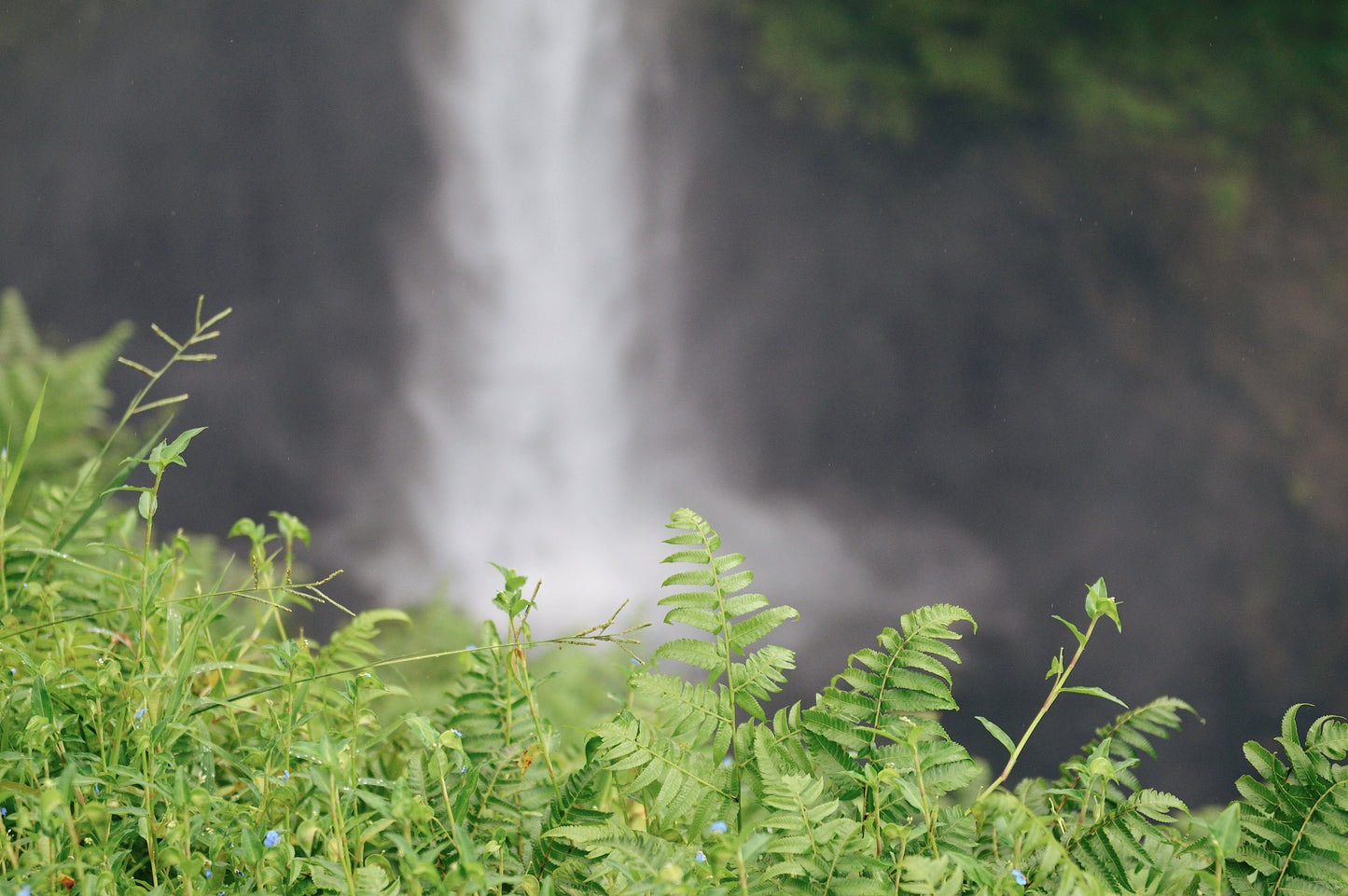 Aloha Waterfall Escape