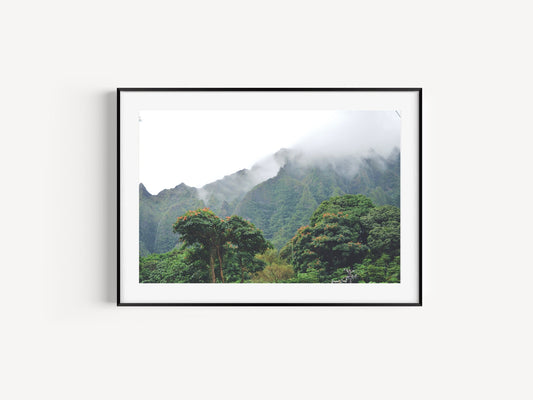 Vintage Hawaii Mountain Landscape