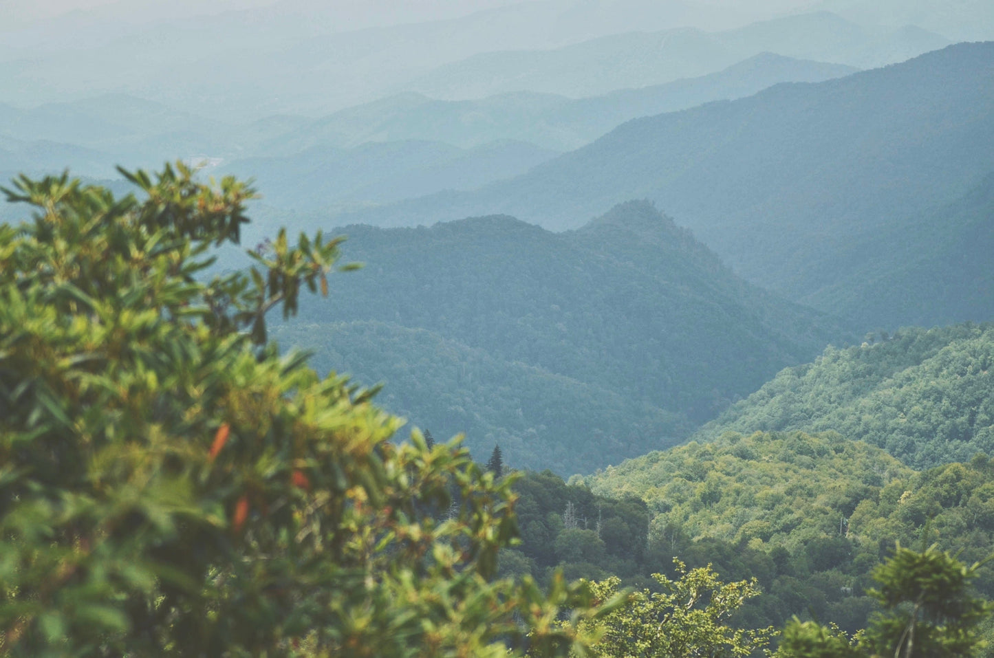 Smoky Mountain National Park